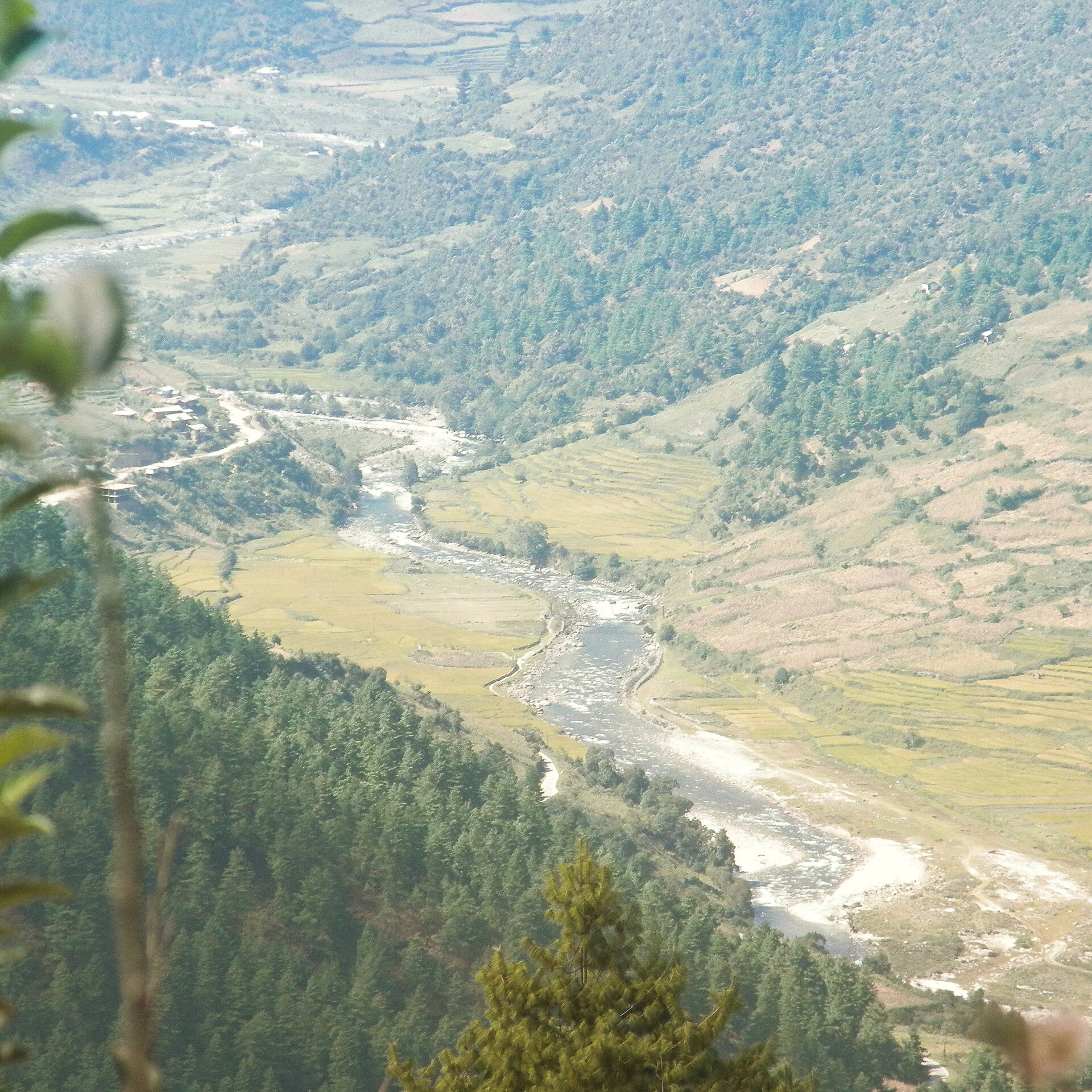 Sangti Valley near Dirang